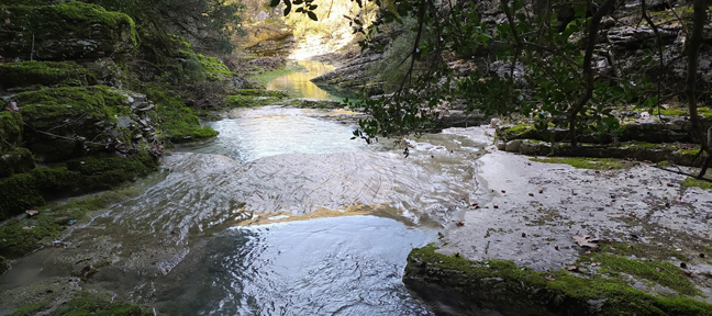 Κωστανιανη
