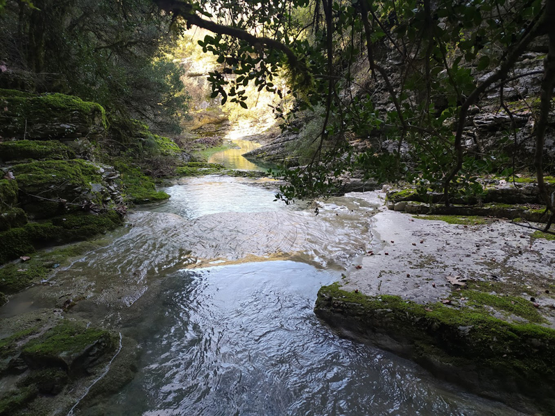 Κολυμπήθρες Κωστάνιανης