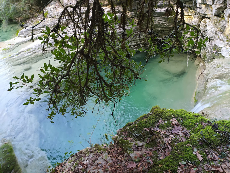 Κολυμπήθρες Κωστάνιανης